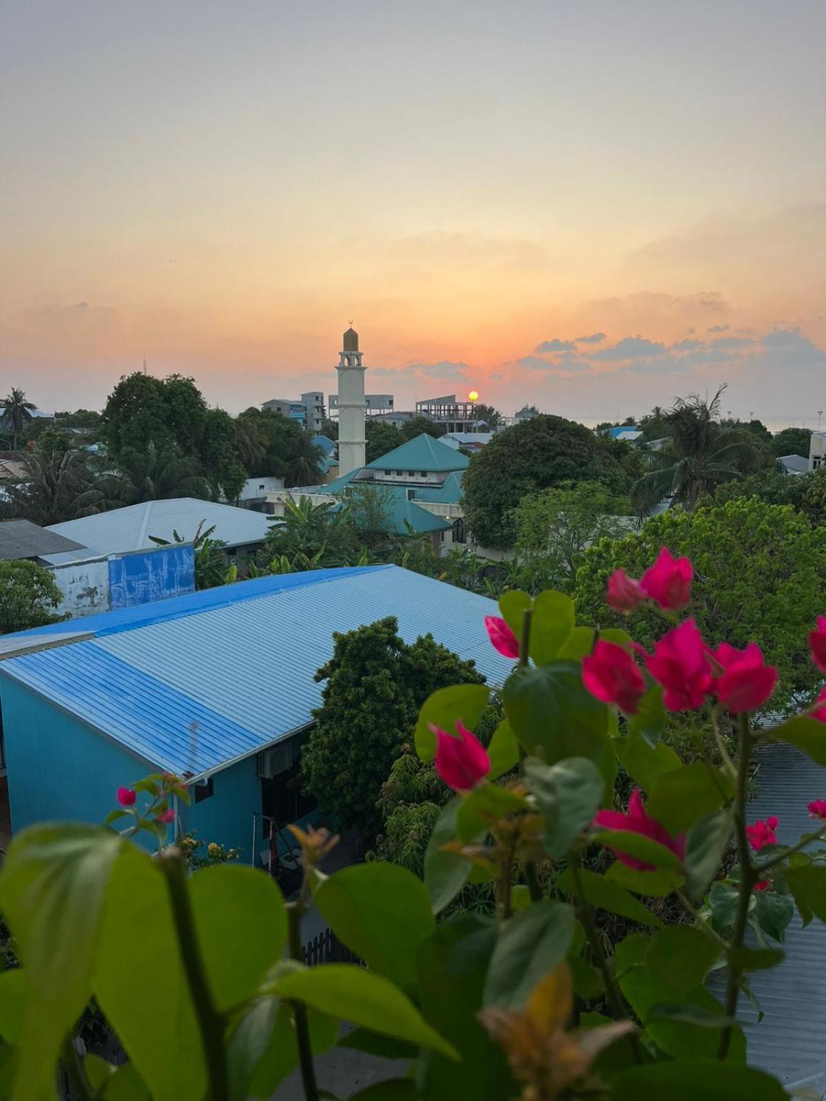 Wish Guesthouse Đảo Đảo Huraa Ngoại thất bức ảnh